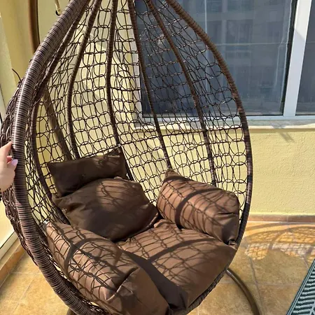 студиа осака Daire